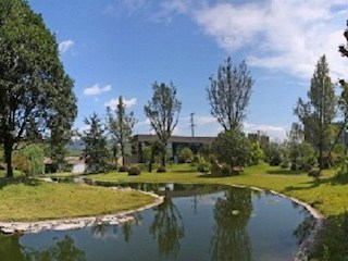 藍(lán)黛公司廠區(qū)